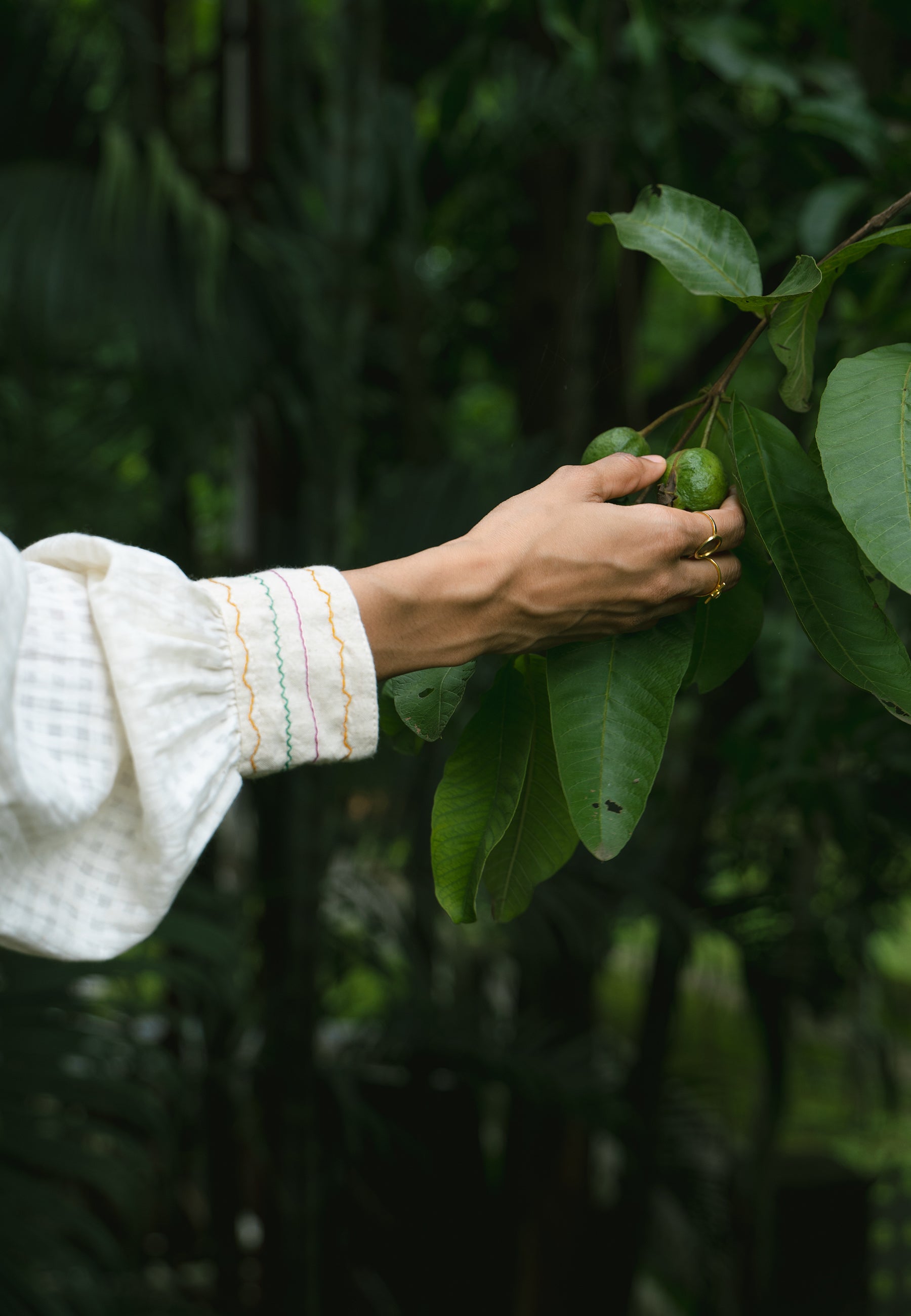 Noor Dress DRESSES IKKIVI