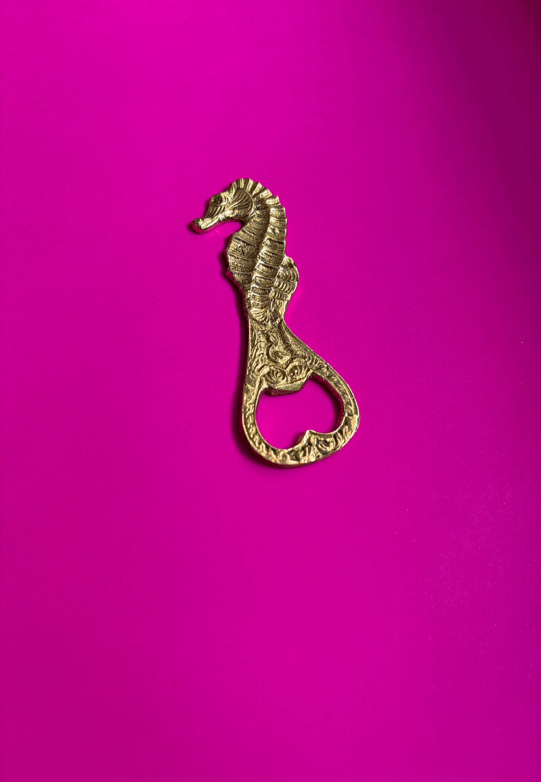 Dive Right In Bottle Opener ACCESSORIES IKKIVI