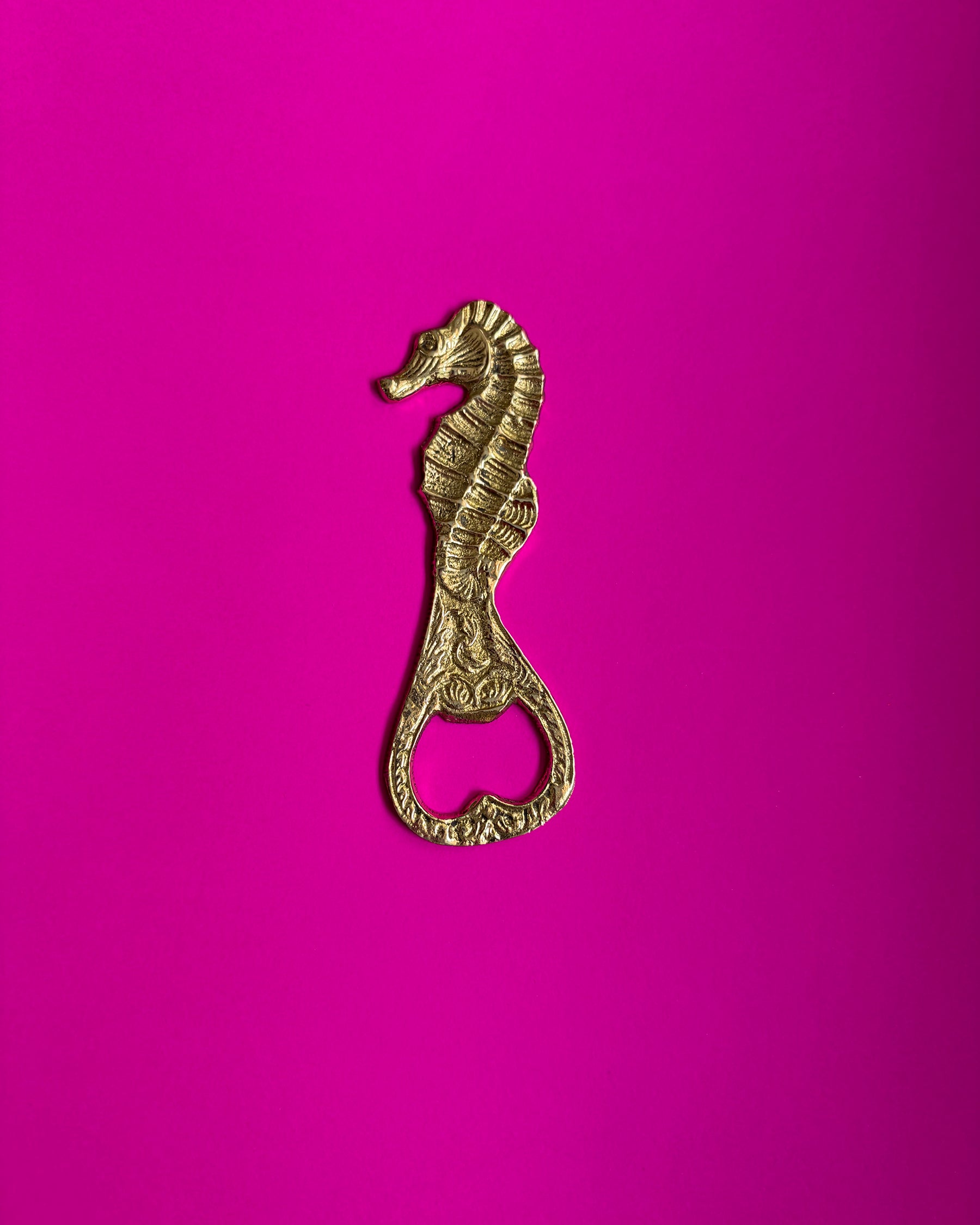 Dive Right In Bottle Opener ACCESSORIES IKKIVI