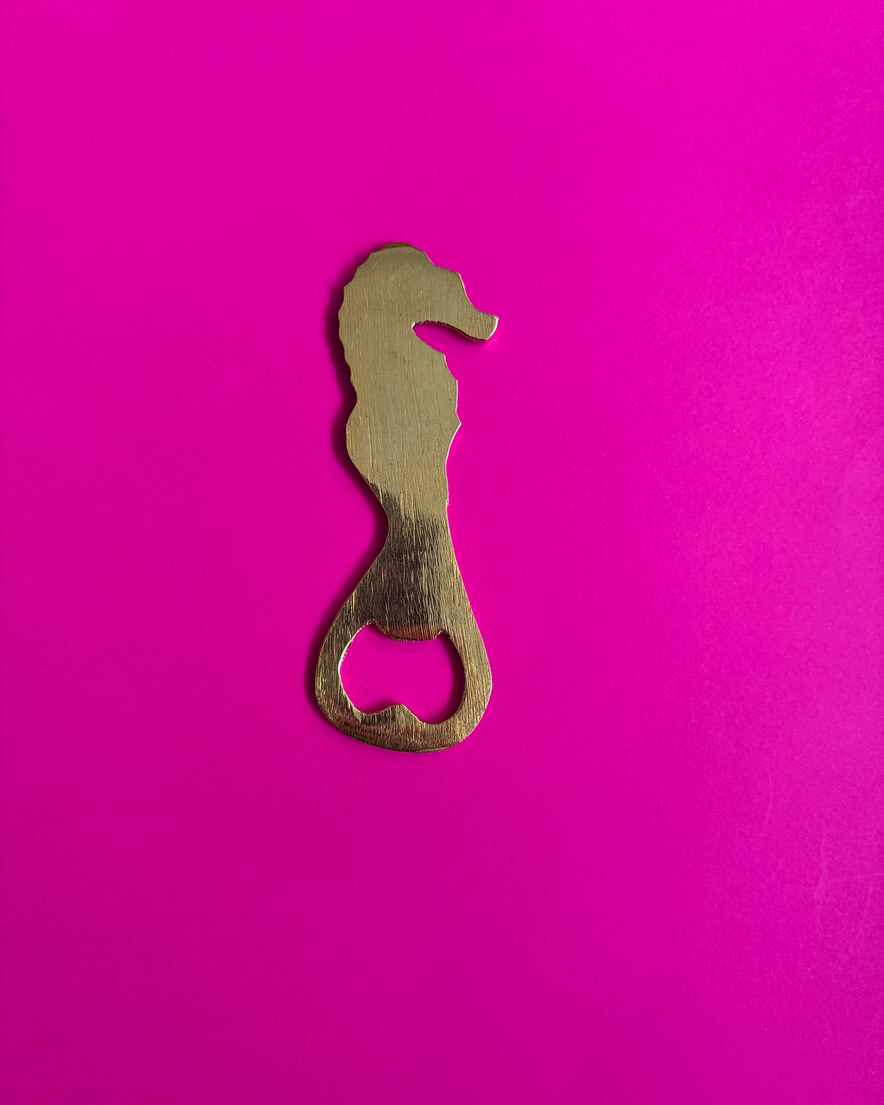 Dive Right In Bottle Opener ACCESSORIES IKKIVI