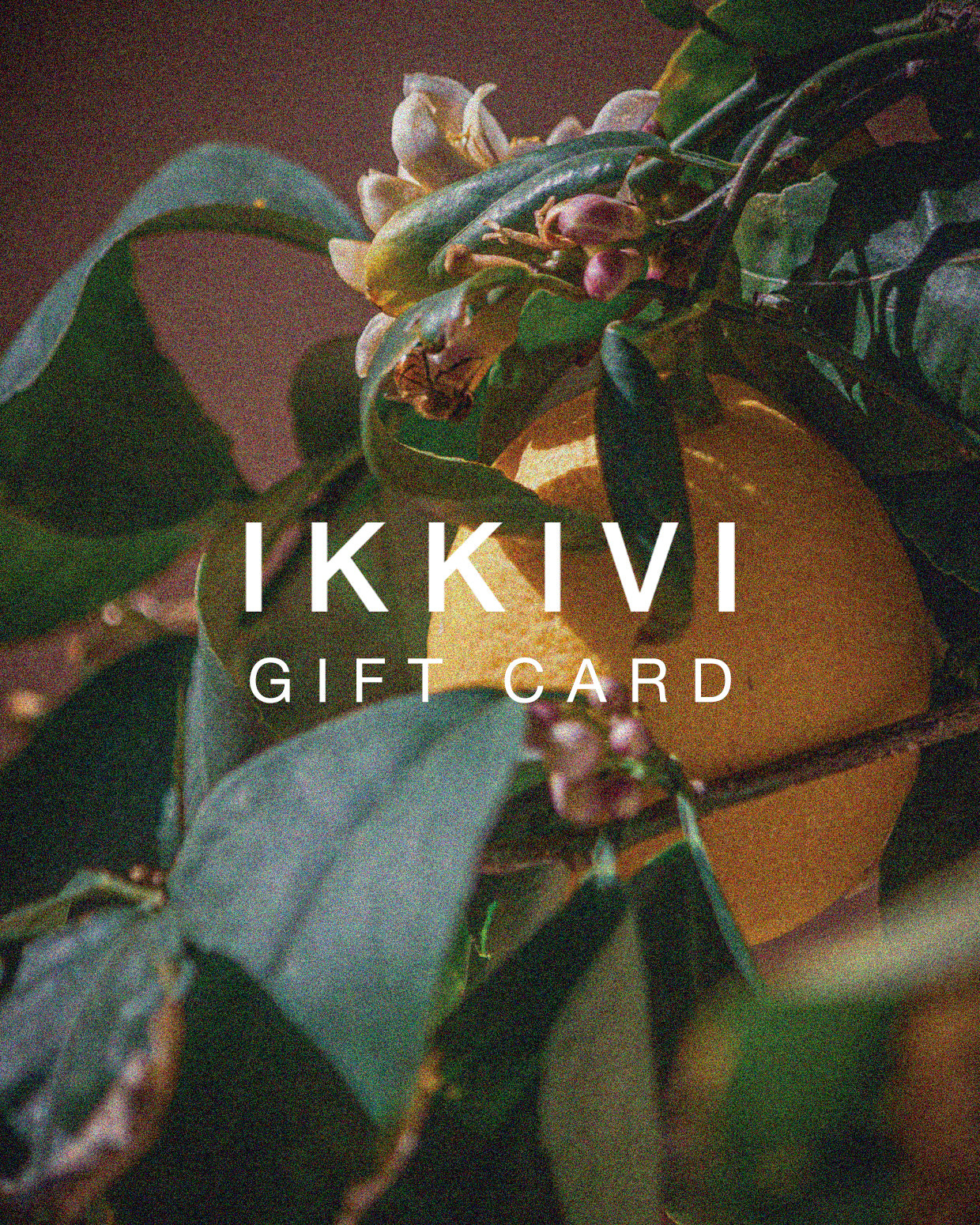 IKKIVI Gift Card Gift Card IKKIVI $100.00