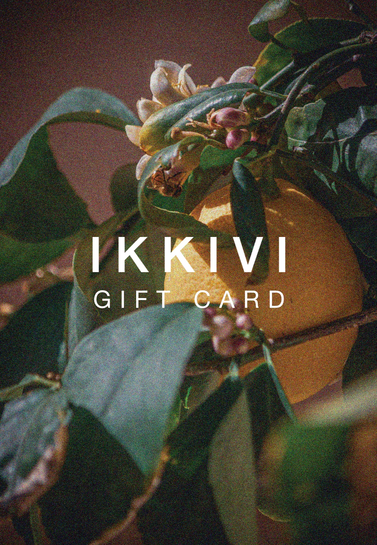 IKKIVI Gift Card Gift Card IKKIVI $100.00