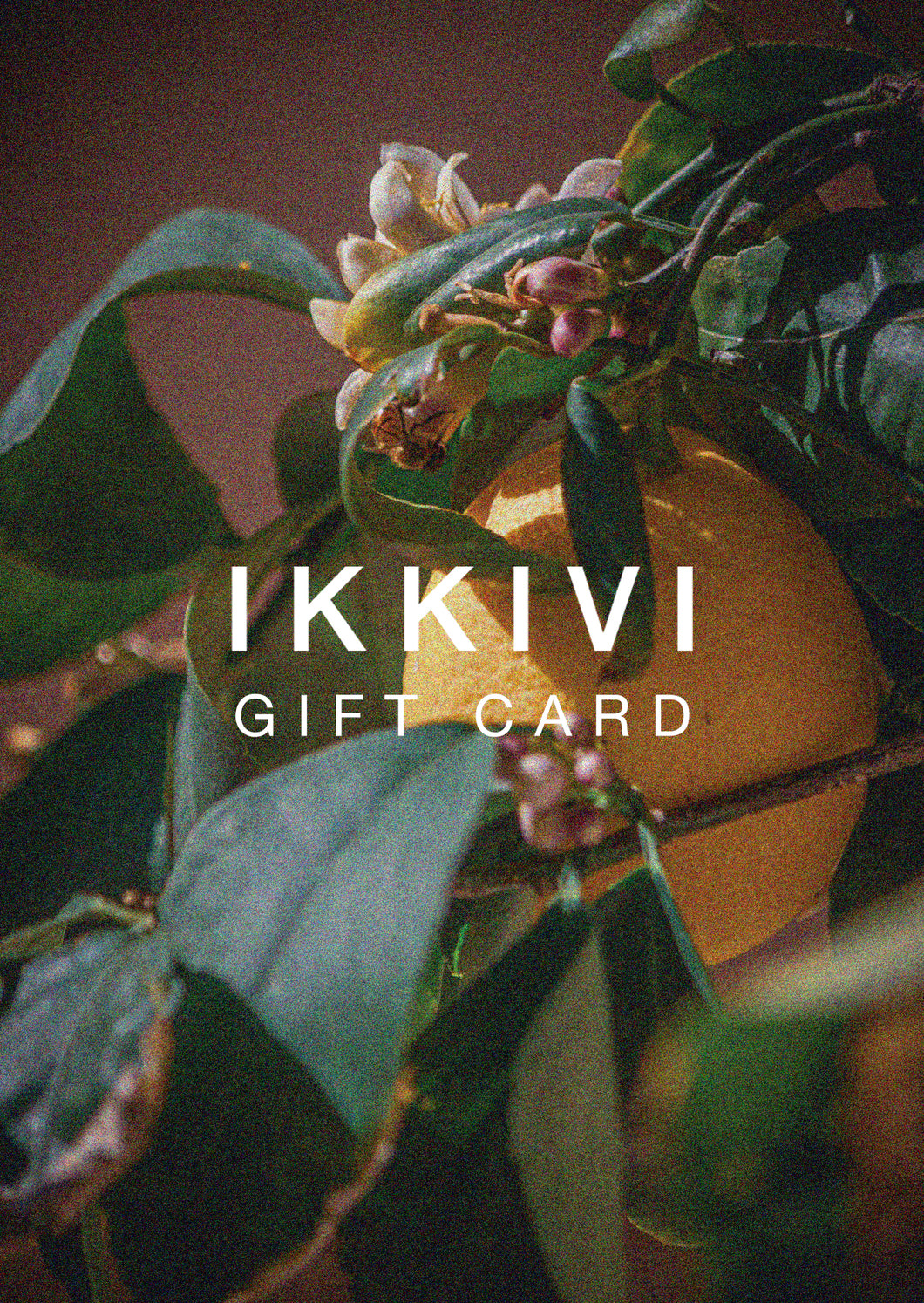 IKKIVI Gift Card Gift Card IKKIVI $100.00  