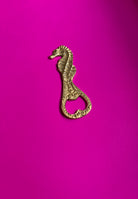 Dive Right In Bottle Opener ACCESSORIES IKKIVI