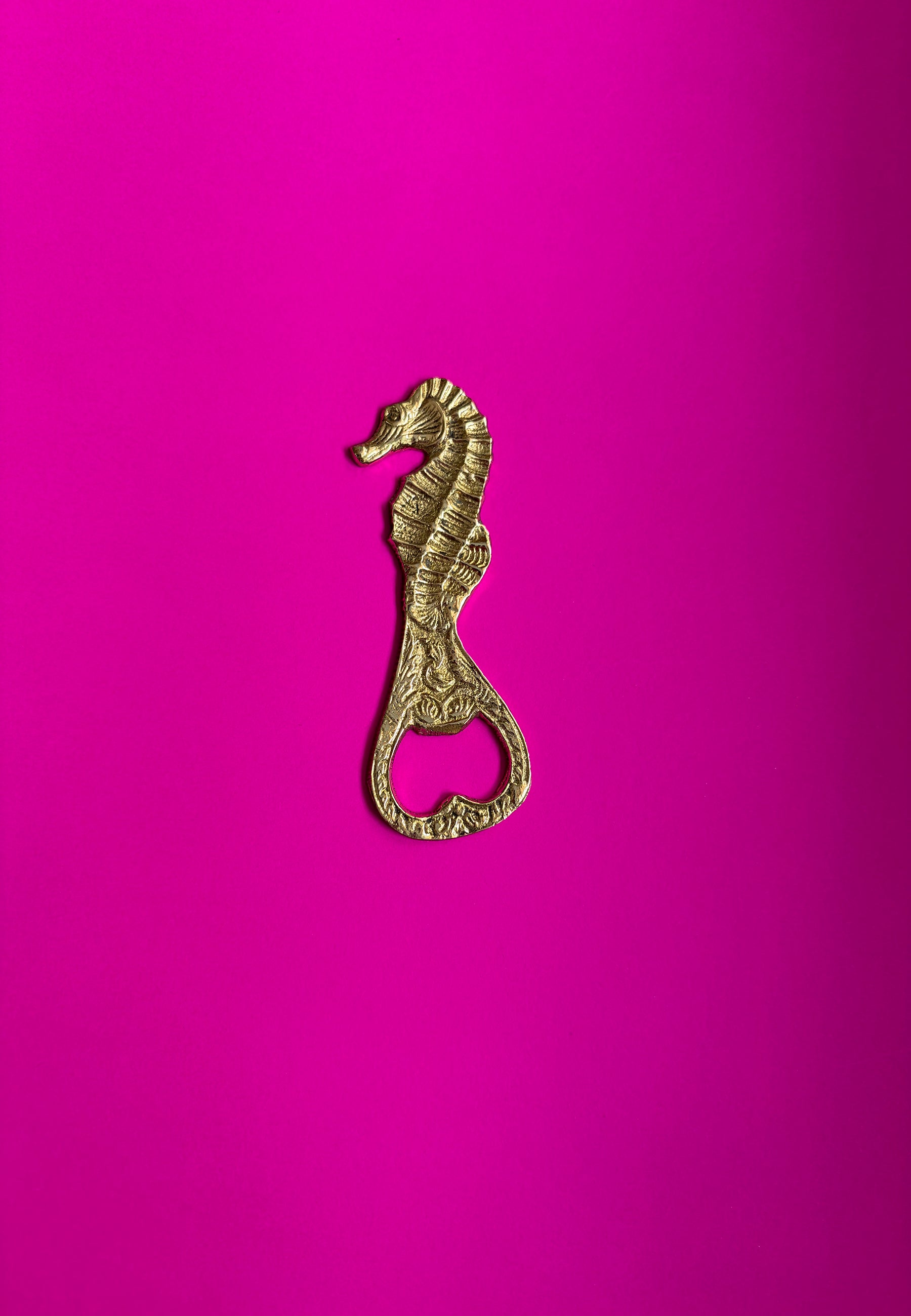 Dive Right In Bottle Opener ACCESSORIES IKKIVI