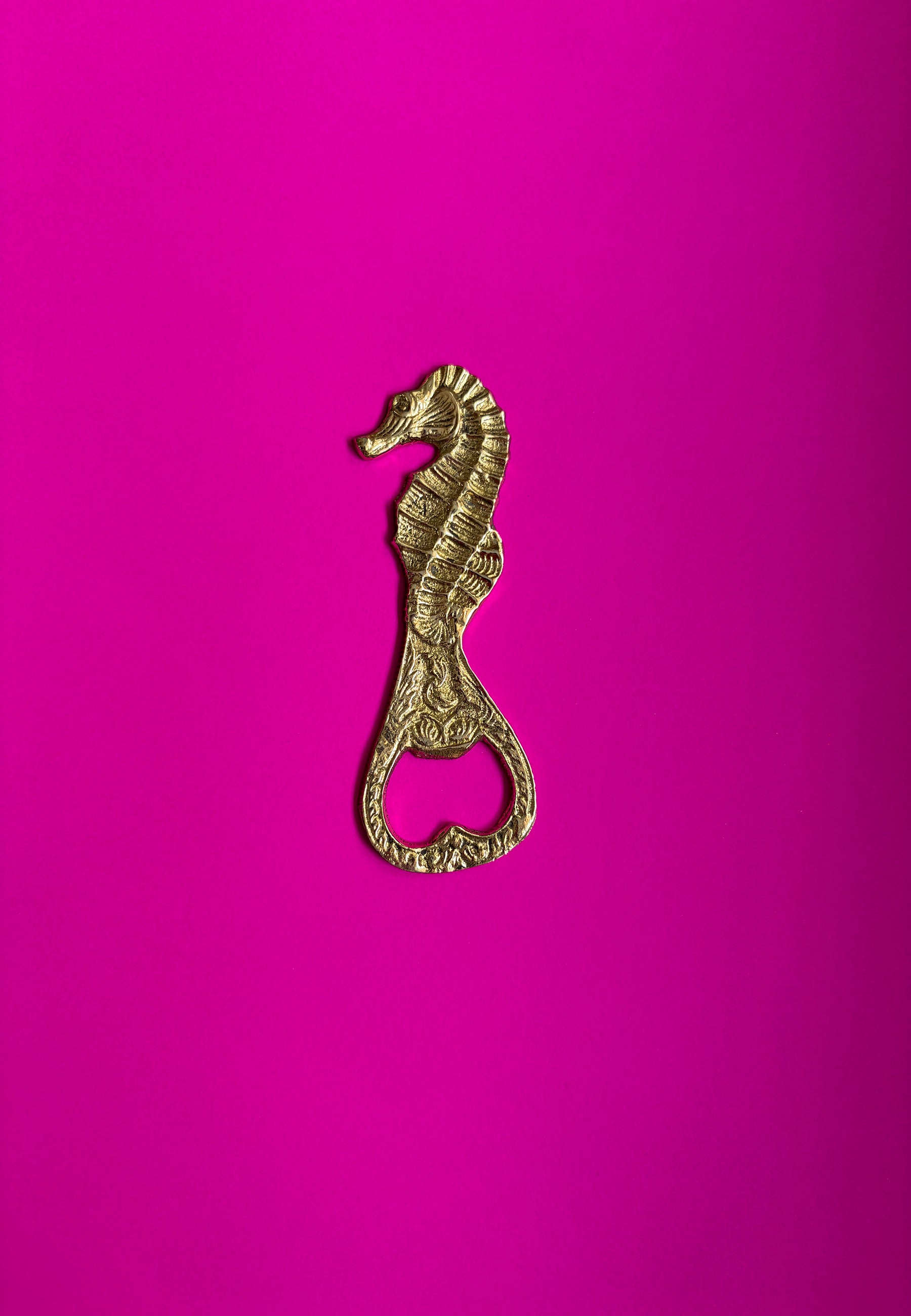 Dive Right In Bottle Opener ACCESSORIES IKKIVI