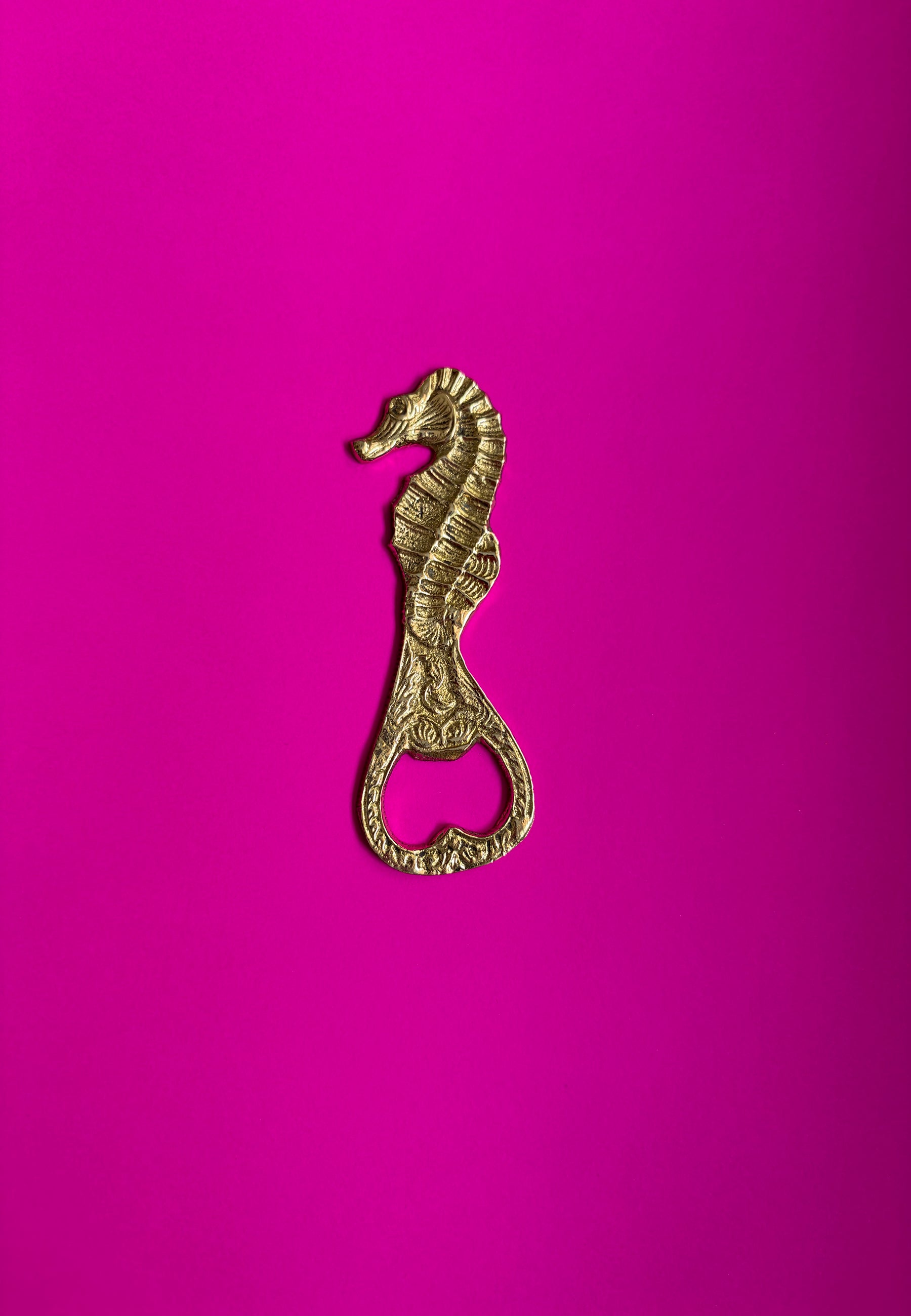 Dive Right In Bottle Opener ACCESSORIES IKKIVI