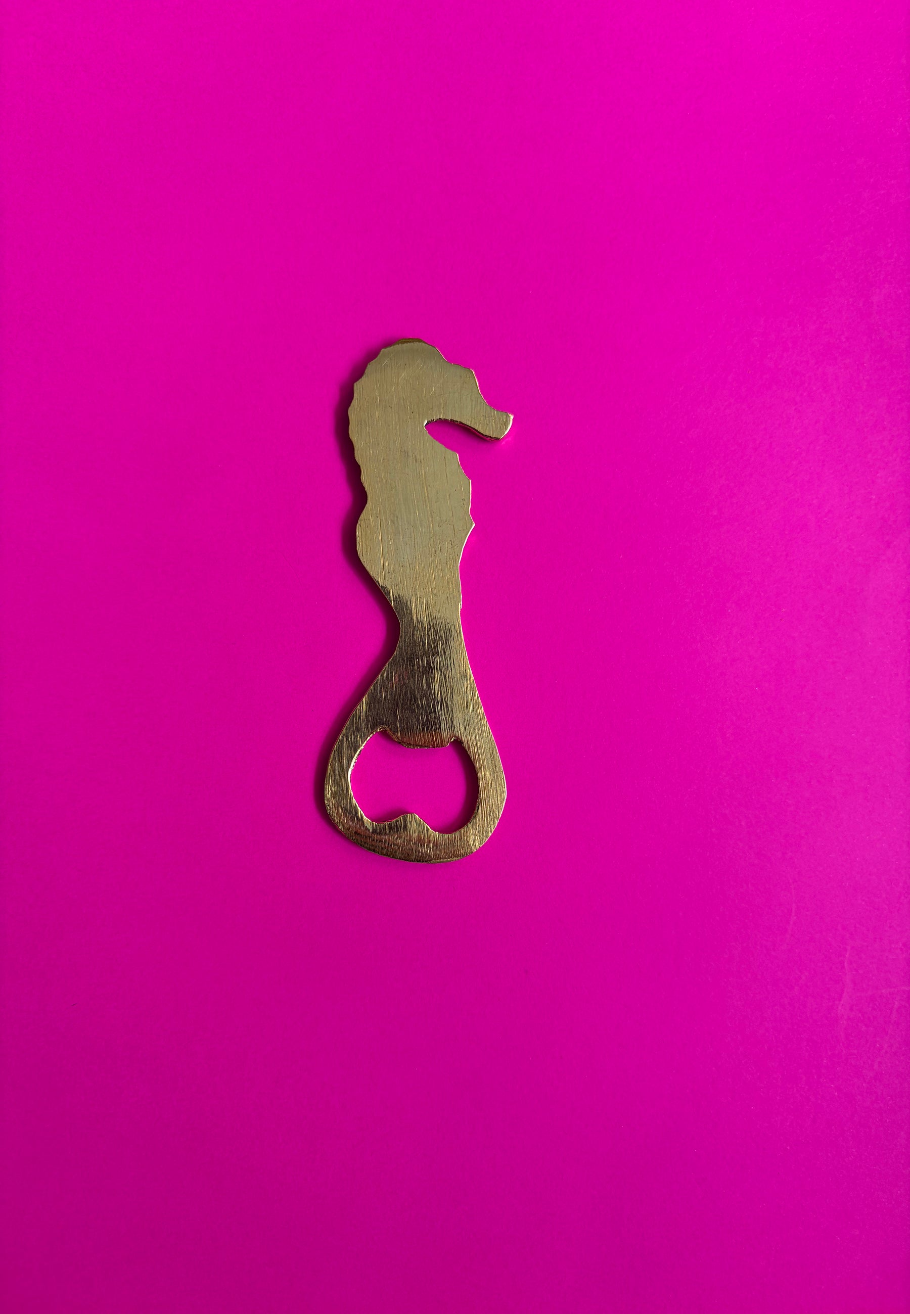 Dive Right In Bottle Opener ACCESSORIES IKKIVI